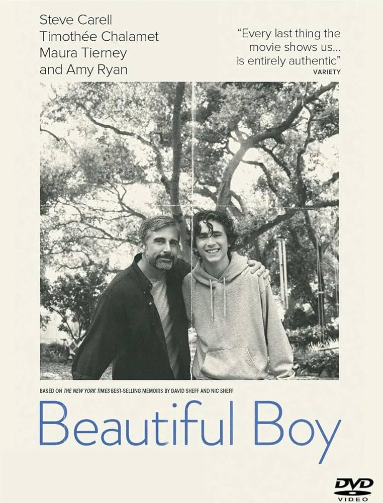 Beautiful Boy (2018)